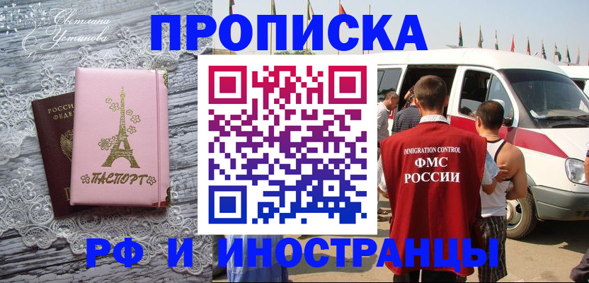 прописка поиск в Камчатской области